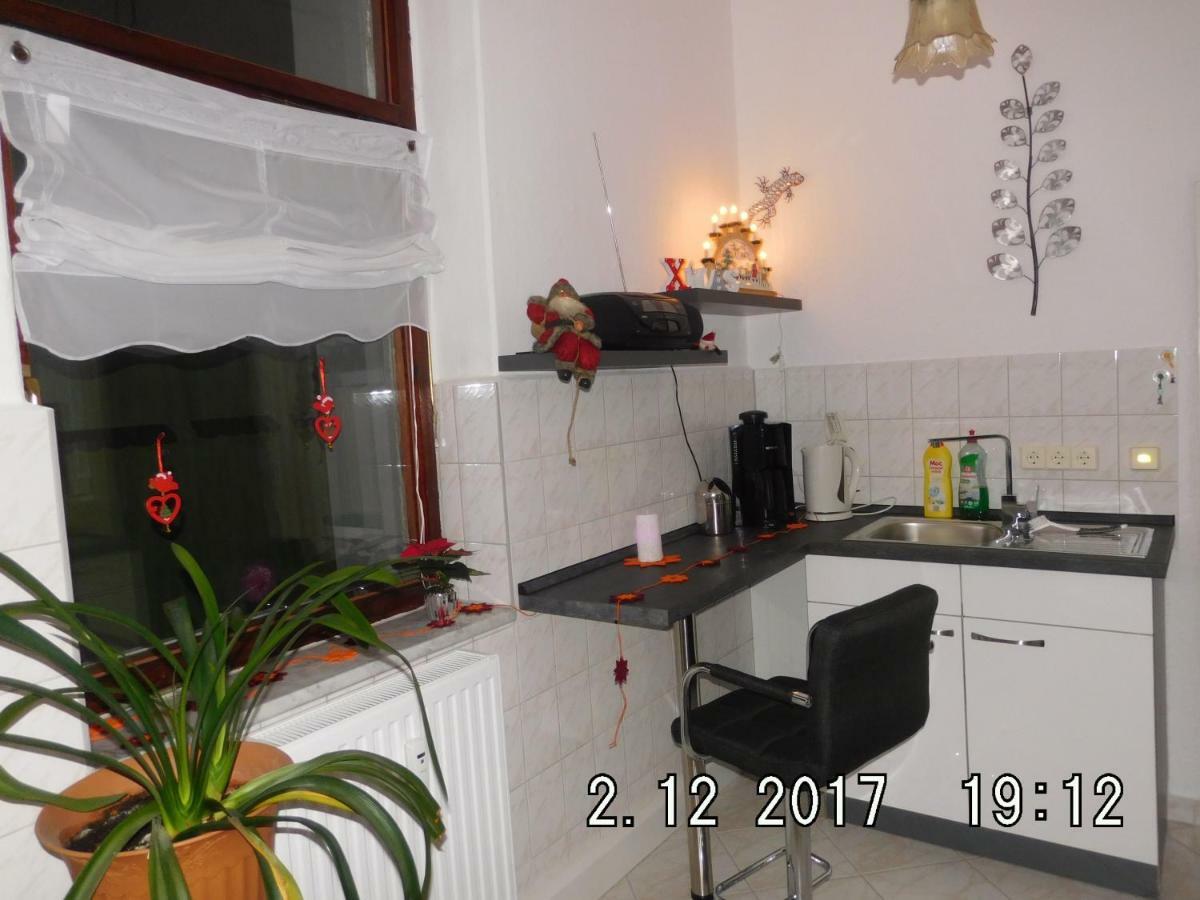 Ferienwohnung Am Schloss Торгау Екстериор снимка